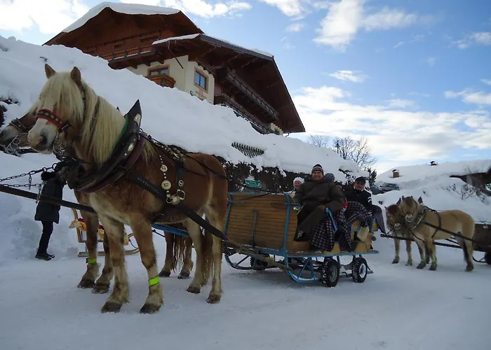 斯波特豪士酒店 酒店 3*